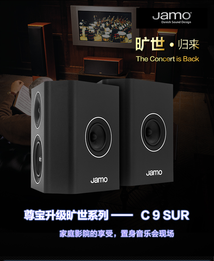 C9 SUR(图1)