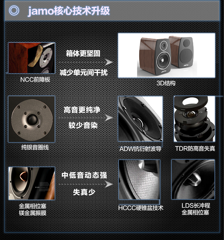 C9 SUR(图2)